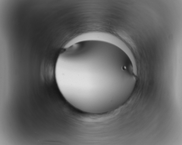 X0000091930021200709261922