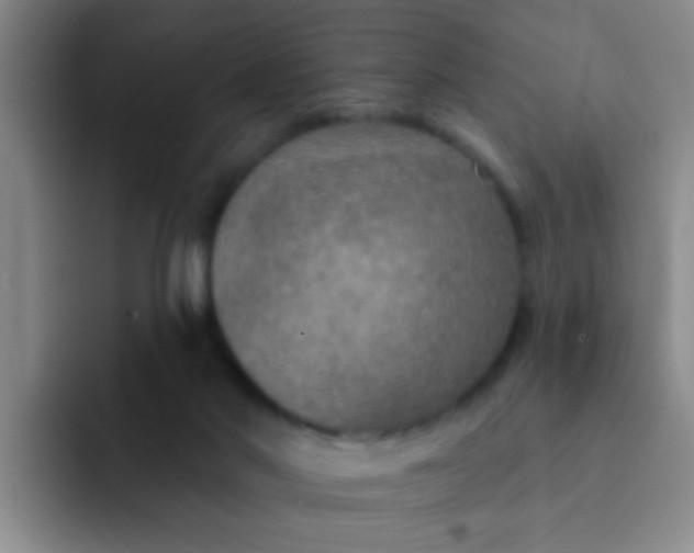 X0000091930022200709261922