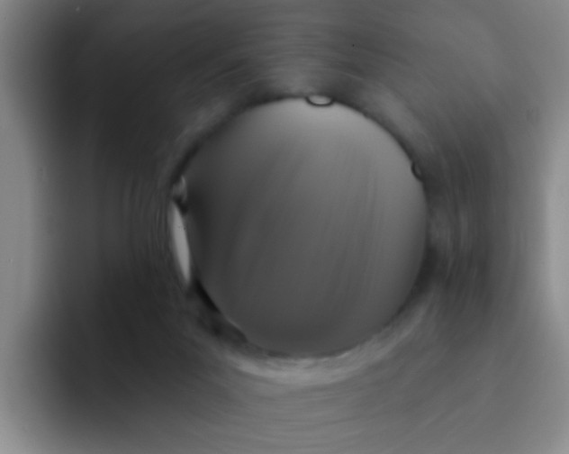 X0000091930023200709261922