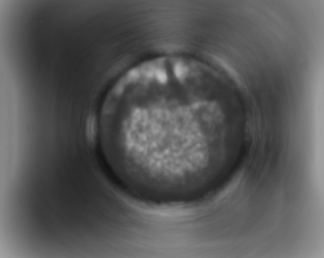 X0000091930024200709261922