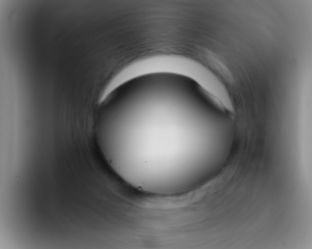 X0000091930025200709261922