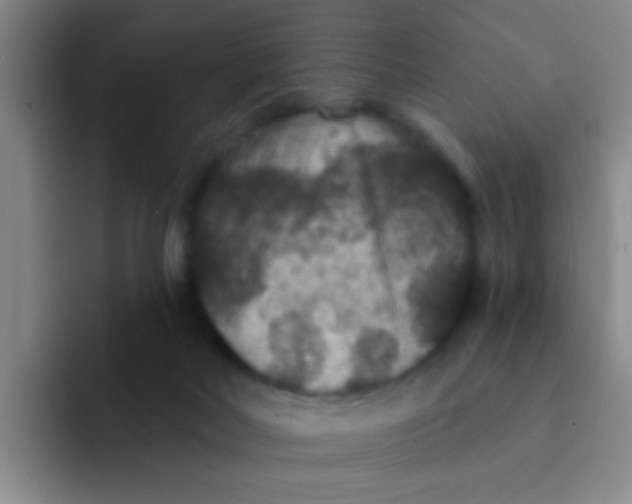 X0000091930026200709261922
