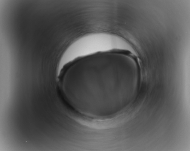 X0000091930027200709261922