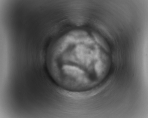 X0000091930030200709261922