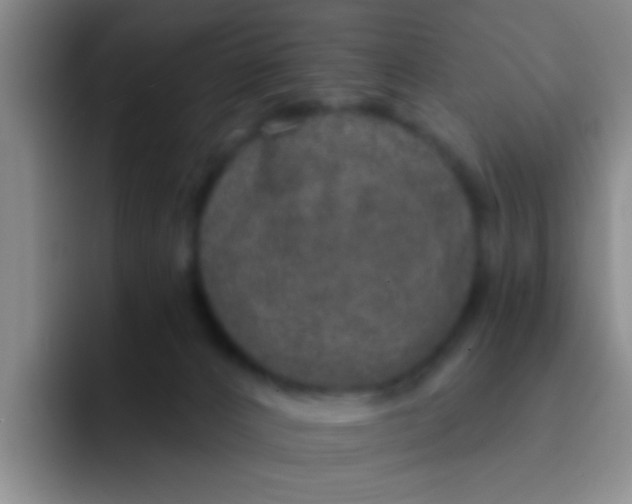 X0000091930032200709261922