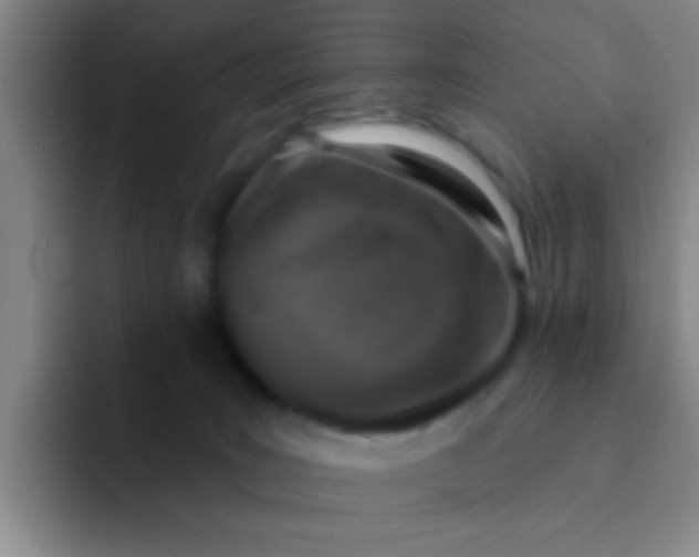 X0000091930035200709261922