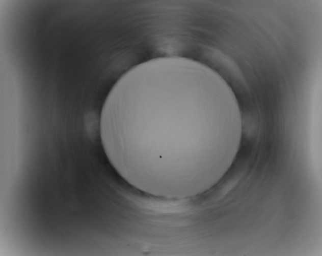 X0000091930036200709261922