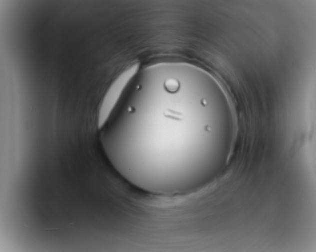 X0000091930037200709261922