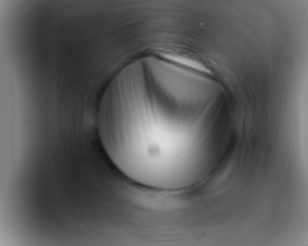 X0000091930040200709261922