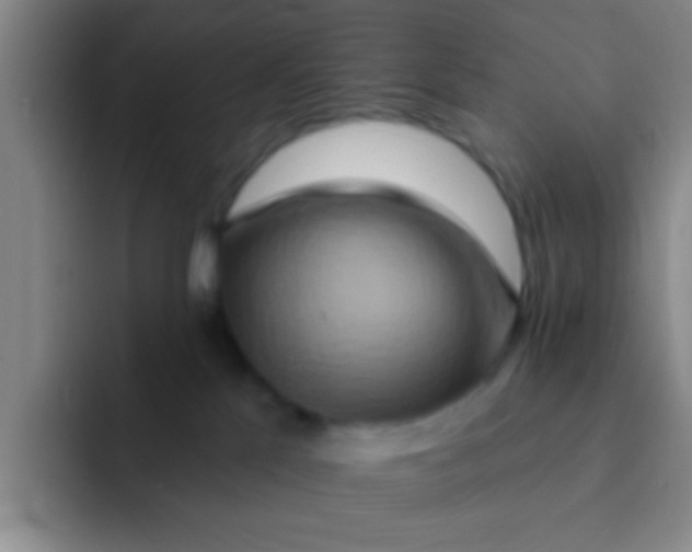 X0000091930041200709261922