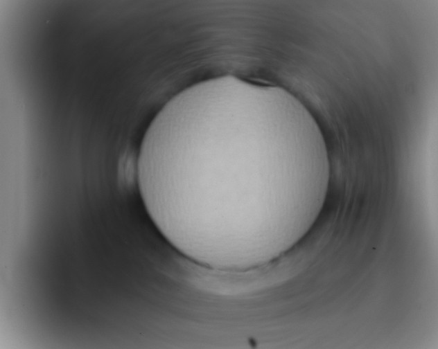 X0000091930042200709261922