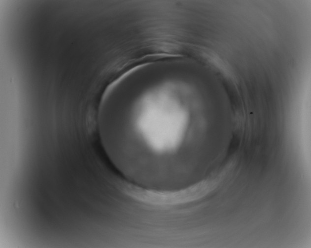 X0000091930043200709261922