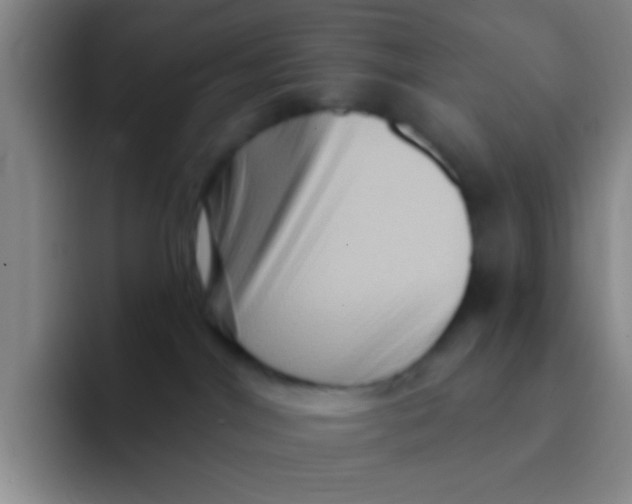 X0000091930044200709261922