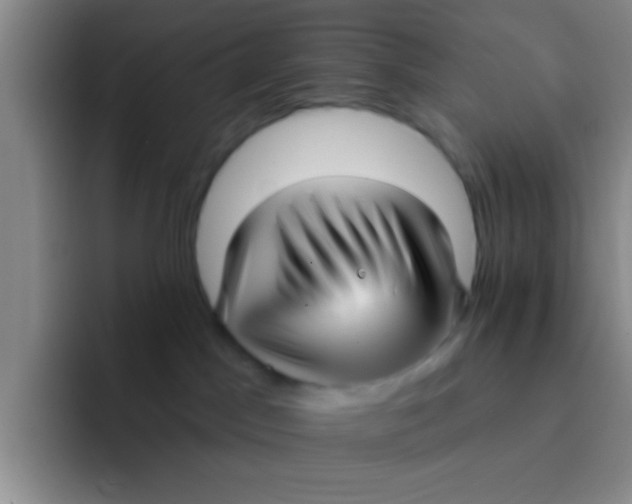 X0000091930045200709261922