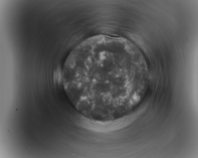X0000091930046200709261922