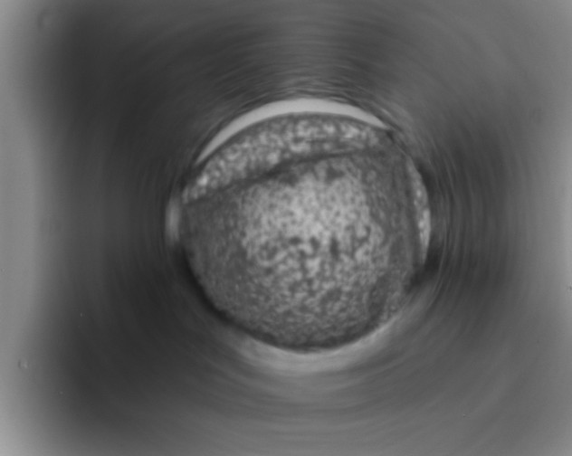X0000091930047200709261922