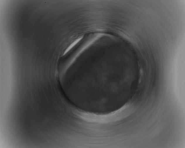 X0000091930048200709261922