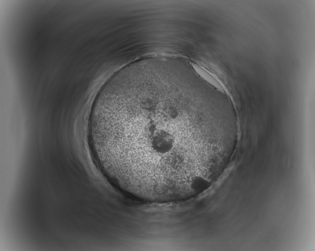 X0000091930049200709261921