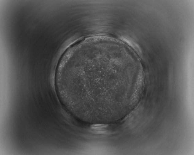 X0000091930051200709261921