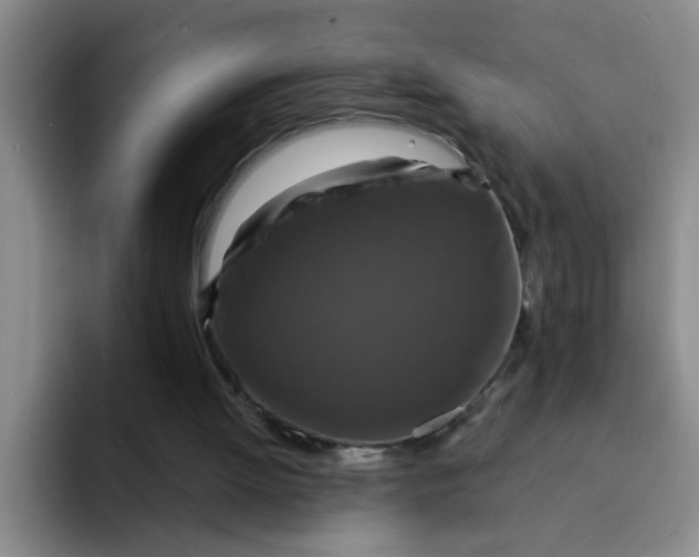 X0000091930052200709261921