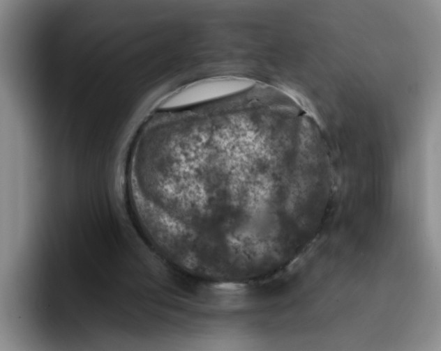 X0000091930053200709261921