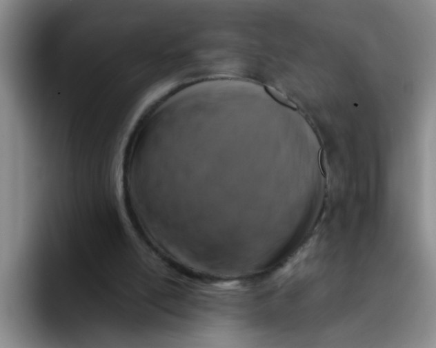 X0000091930054200709261921