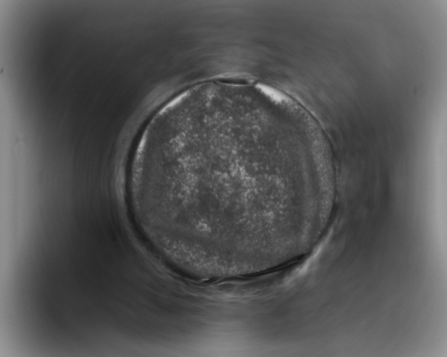 X0000091930055200709261921