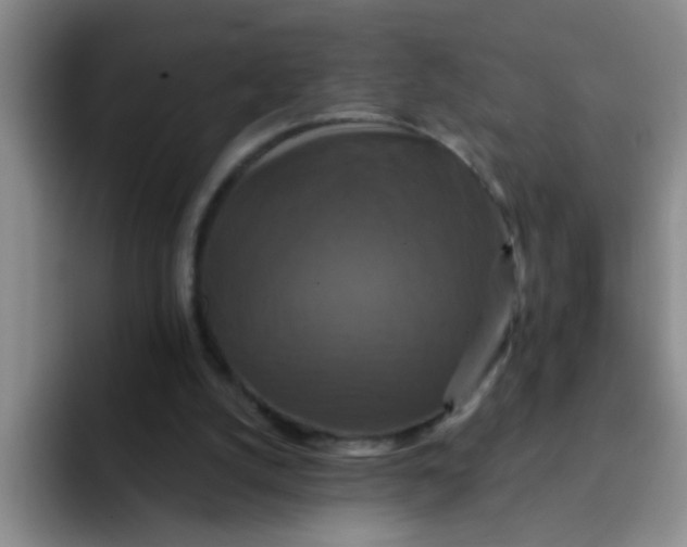 X0000091930056200709261921
