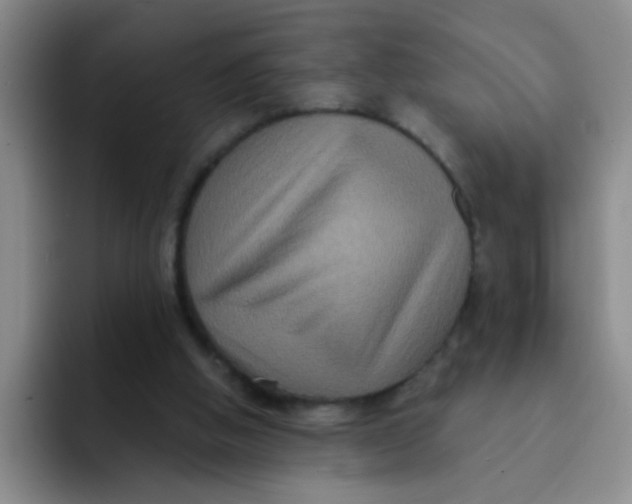 X0000091930058200709261921