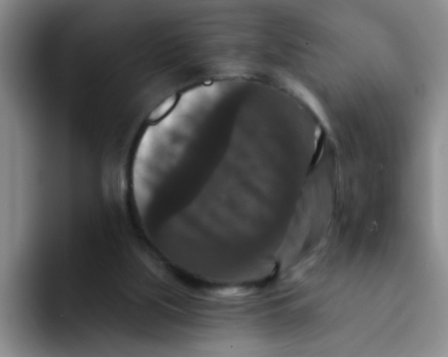 X0000091930059200709261921