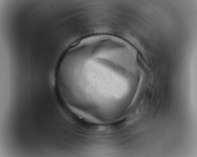 X0000091930060200709261921
