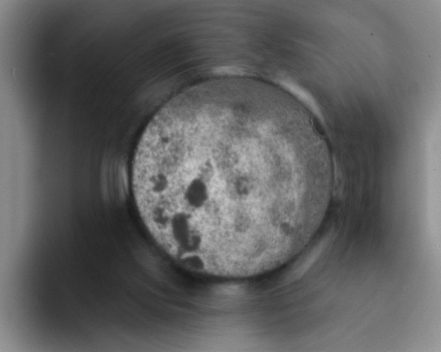 X0000091930061200709261922