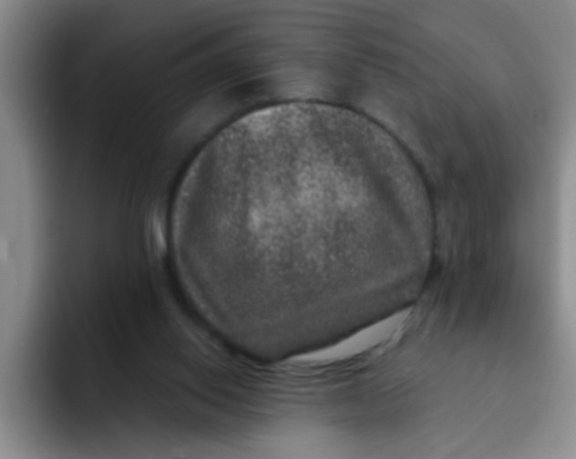 X0000091930062200709261922