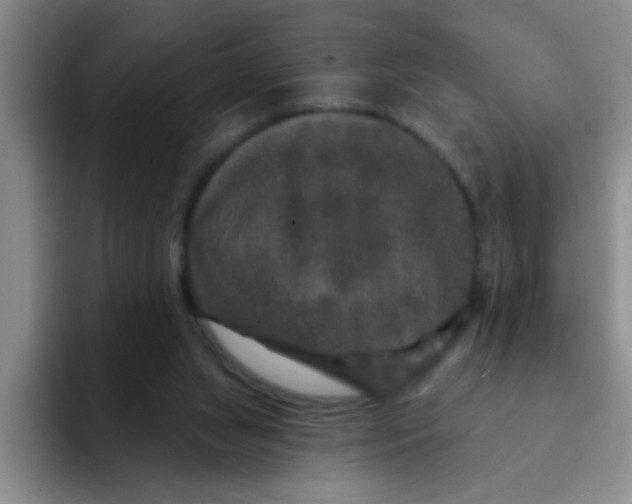 X0000091930063200709261922