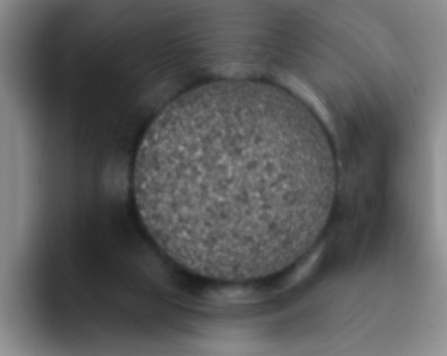 X0000091930065200709261922