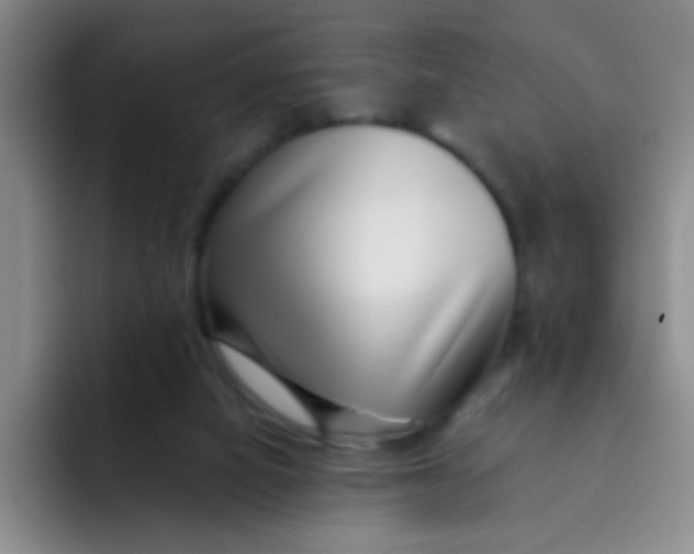 X0000091930066200709261922