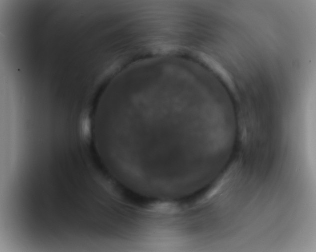 X0000091930067200709261922