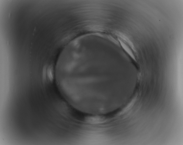 X0000091930069200709261922