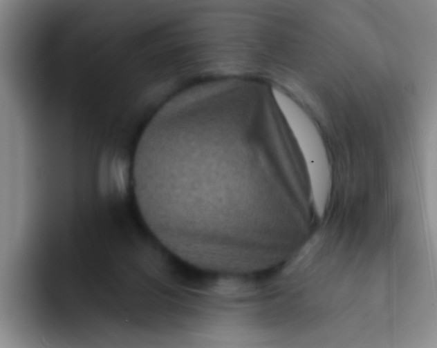 X0000091930070200709261922