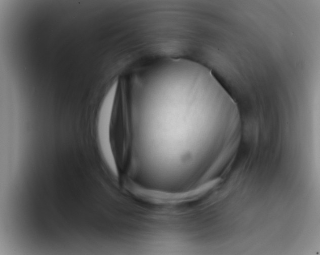 X0000091930072200709261922
