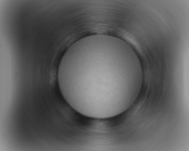 X0000091930073200709261922