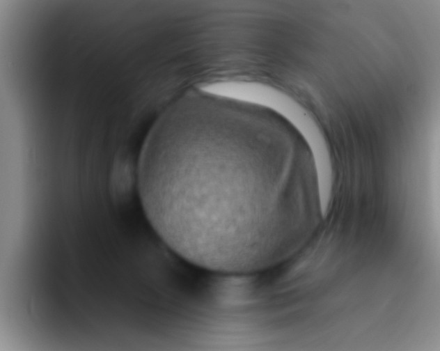 X0000091930081200709261922