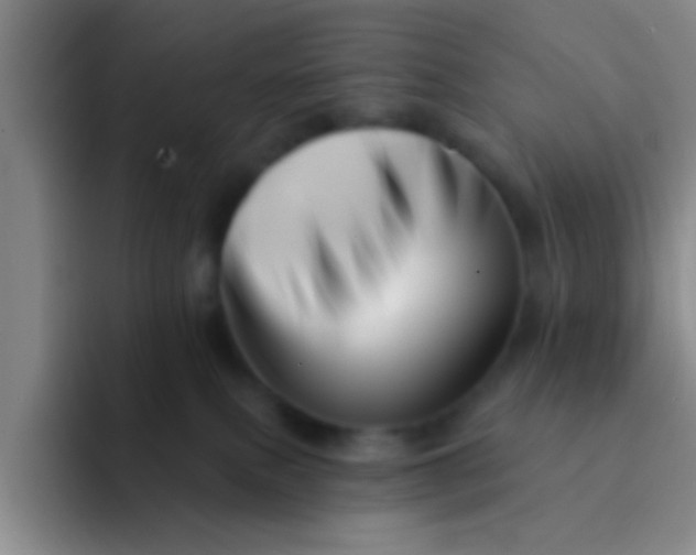 X0000091930087200709261922