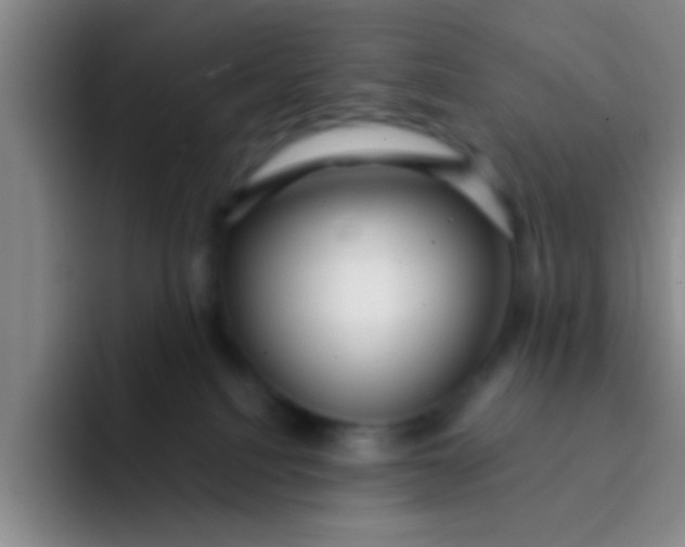 X0000091930088200709261922