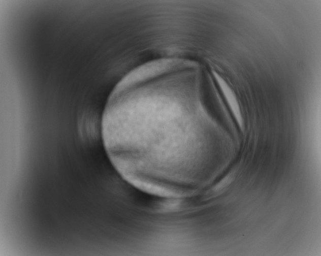 X0000091930090200709261922