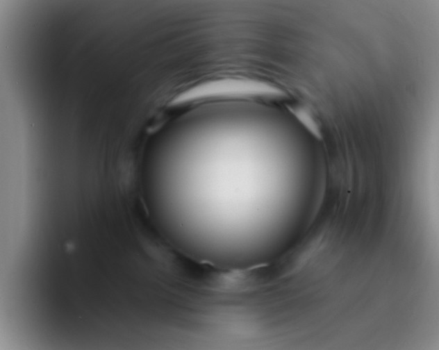 X0000091930092200709261922