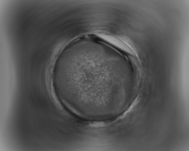 X0000091930097200709261921