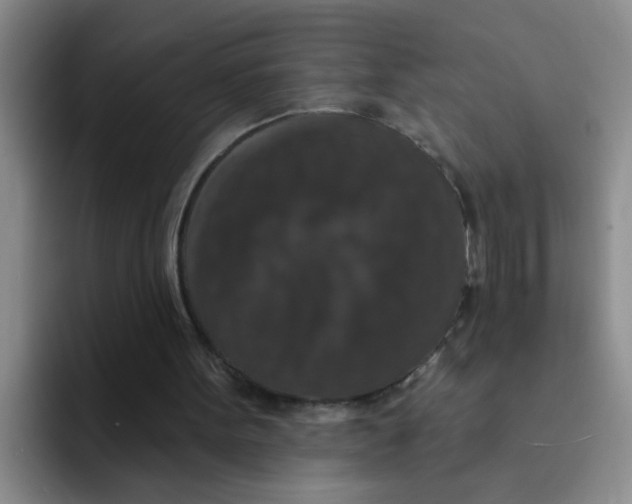 X0000091930099200709261921