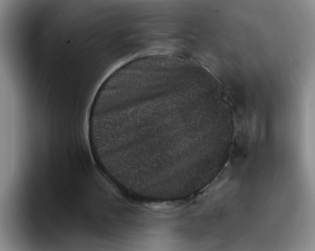 X0000091930100200709261921