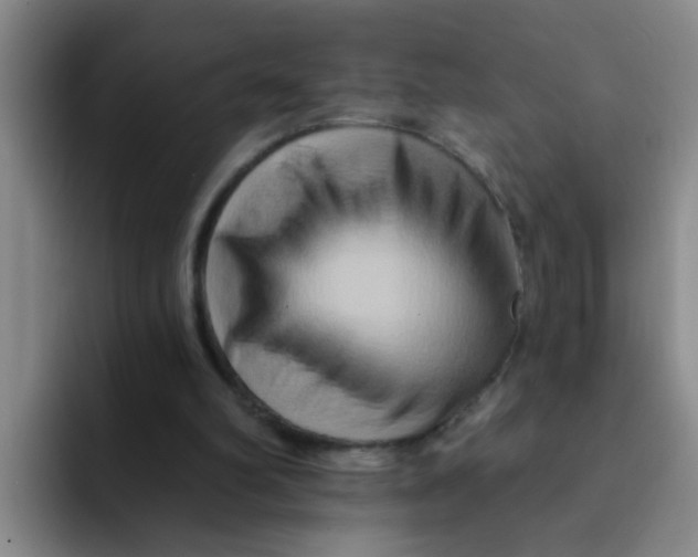 X0000091930102200709261921
